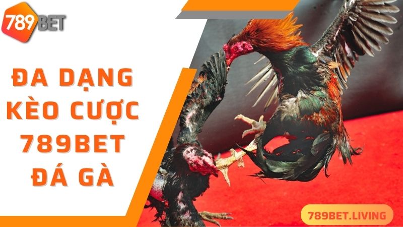 789BET đá gà: Trang chơi đá gà online trực tiếp uy tín 2025 3 Đa dạng các thể loại kèo cược đá gà 789BET