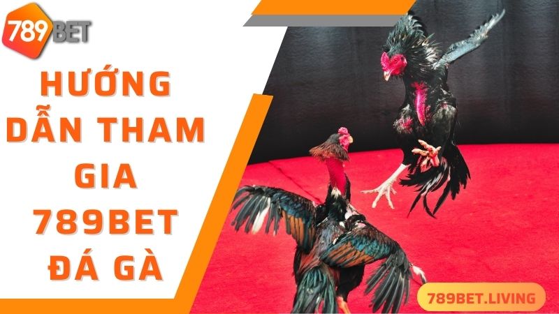 789BET đá gà: Trang chơi đá gà online trực tiếp uy tín 2025 5 Hướng dẫn tham gia đá gà 789BET cực nhanh chuẩn