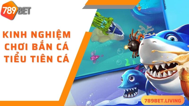 Bắn cá tiểu tiên cá 789BET: Game săn cá ăn tiền siêu đỉnh 6 Bí kíp chơi bắn cá tiểu tiên cá thắng lớn tại 789BET