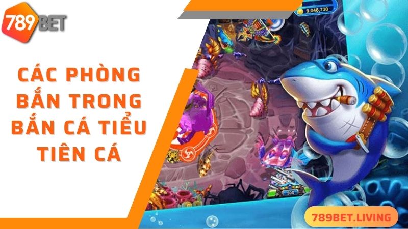Bắn cá tiểu tiên cá 789BET: Game săn cá ăn tiền siêu đỉnh 4 Các phòng bắn đặc biệt trong bắn cá tiểu tiên cá 789BET