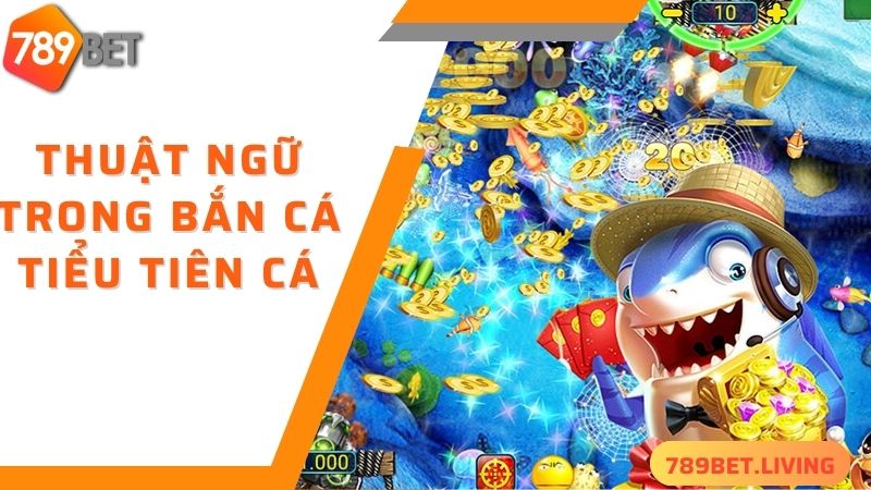 Bắn cá tiểu tiên cá 789BET: Game săn cá ăn tiền siêu đỉnh 5 Thuật ngữ cần biết khi chơi bắn cá tiểu tiên cá